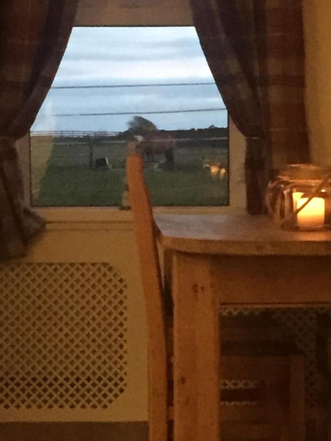 Sea View Cottage Lake District Coast Haverigg Millom Dış mekan fotoğraf